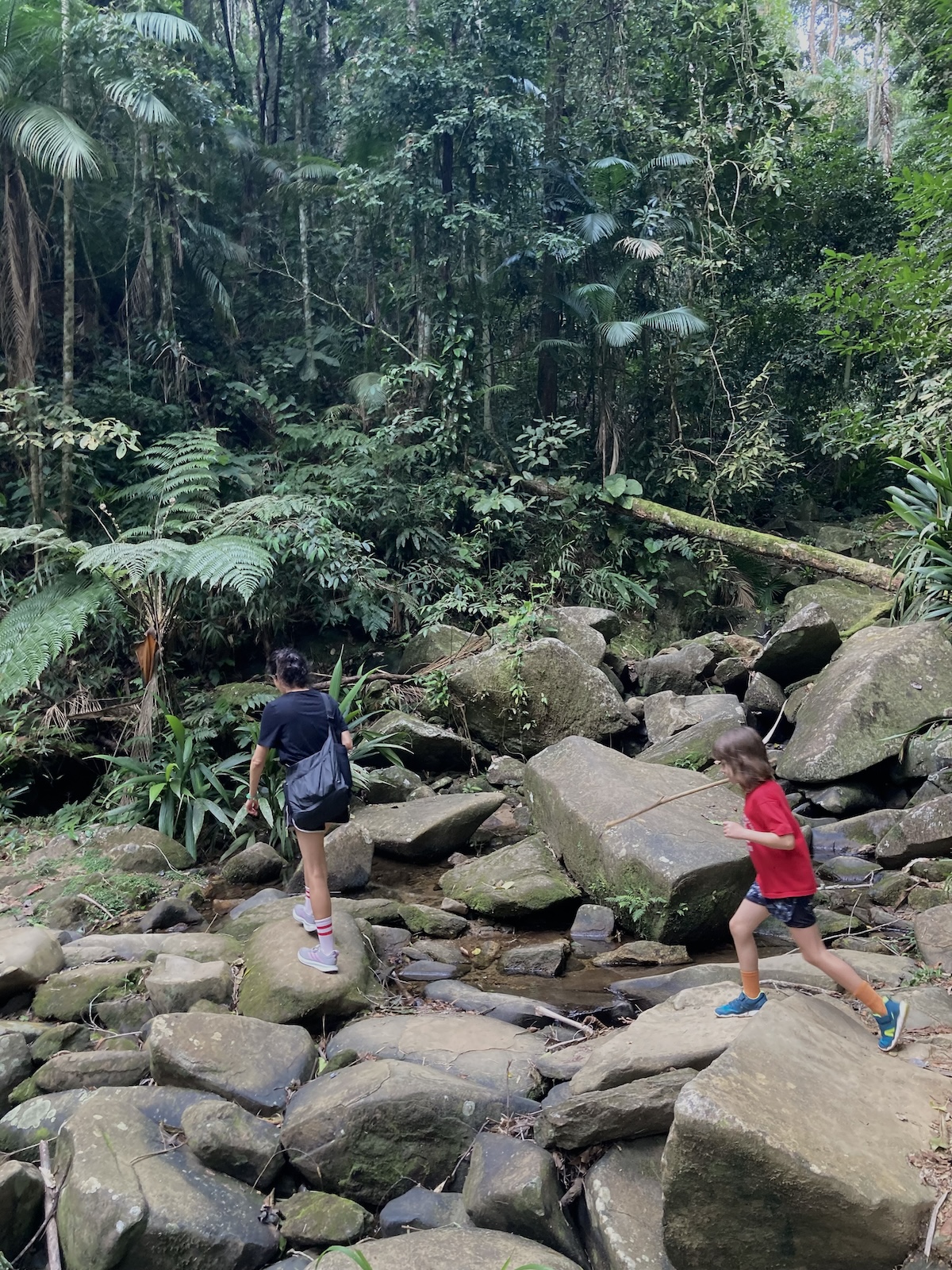 N jumping over a river in the jungle in Brazil